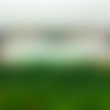 Green white abstract blurred background Stockfoto's