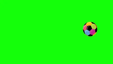 Green White Bird Screen Horizontal 16:9 Green Screen Vidéo 340460539