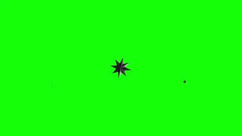 Green, White, Black Airplane and Bird and Screen Green Screen Vidéo 339348917