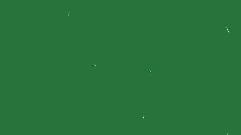 Green, White, Black Bird and Screen on Green Screen Stock Footage 338043595