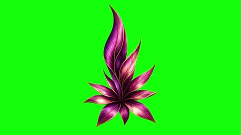 Green, White, Black Bird and Arrow and Screen Green Screen Video stock 339443712