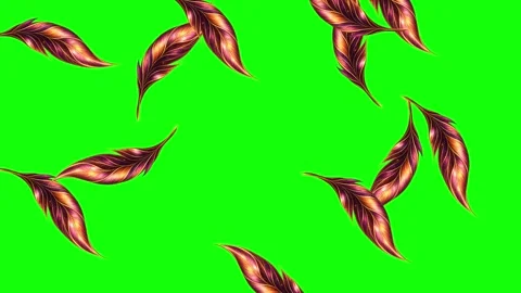 Green, White, Black Bird and Screen on Green Screen Background Horizontal 16:9 Stock-Footage 339443714