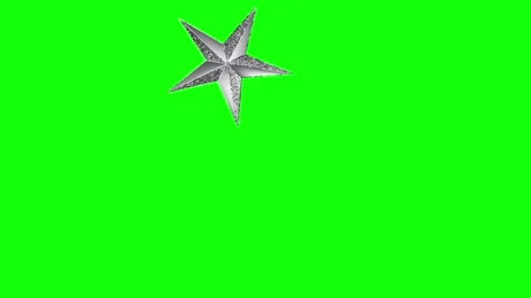 Green, White, Black Bird and Star and Screen Green Screen Stock Footage 339444061