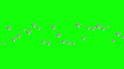 Green, White, Black Bird and Star and Screen Green Screen Stock Footage 339444086