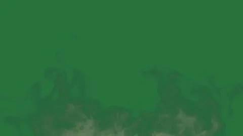 Green, White, Black Fire on Green Screen Background Vidéo 338044607