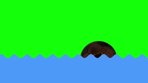 Green, White, Black Man and Dog and Screen and Water Green Screen Stock Footage 339442807