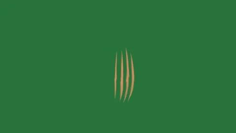 Green, White, Black Screen on Green Screen Background Видео 338043631