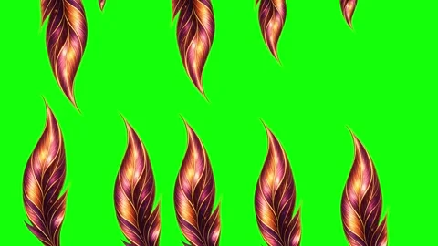 Green, White, Black Screen on Green Screen Background Horizontal 16:9 Video stock 339443703