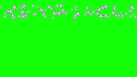 Green, White, Black Star and Screen and Snow Green Screen Video stock 339331027
