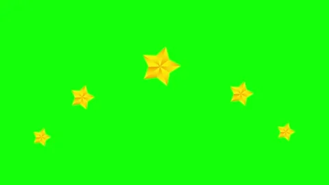 Green, White, Black Star and Screen on Green Screen Background Horizontal 16:9 Stock Footage 339445080