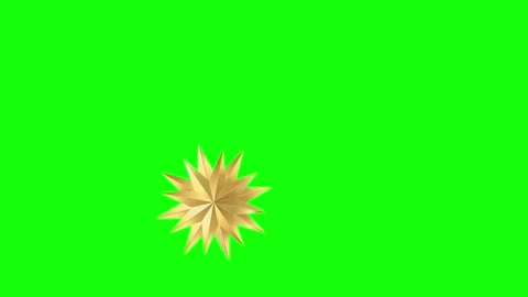 Green, White, Black Tree and Star and Screen Green Screen Stock Footage 339444183