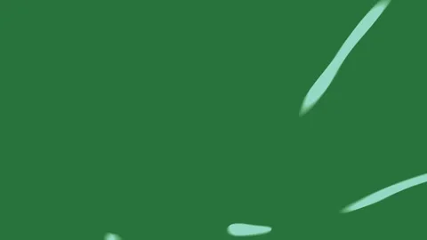 Green, White, Black White Border Black on Green Screen 库存影片 338043778