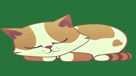 Green, White, Brown Cat on Green Screen Background Видео 338022997