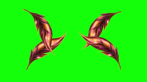 Green, White, Gold Bird and Screen on Green Screen Background Horizontal 16:9 스톡 동영상 339443653