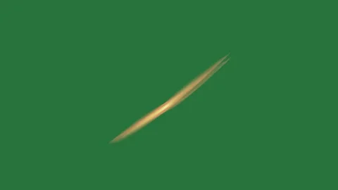 Green, White, Gold Circle and Screen on Green Screen Vídeo Stock 338043634