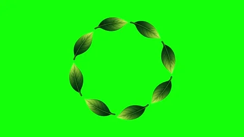 Green, White, Gold Circle and Screen on Green Screen Background Horizontal 16:9 動画素材 339348526