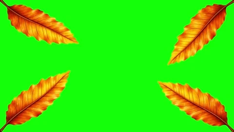 Green, White, Gold Screen on Green Screen Background Horizontal 16:9 Stock Footage 339443572