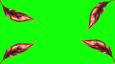 Green, White, Gold Screen on Green Screen Background Horizontal 16:9 Video stock 339443658
