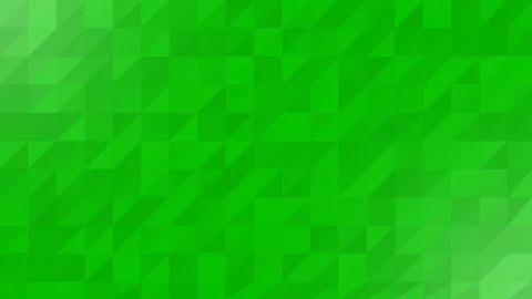 Green White Low Poly Vector Background Illustrazione stock