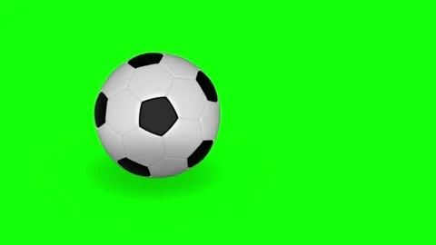 Green White Man Screen Horizontal 16:9 Green Screen 動画素材 340460645