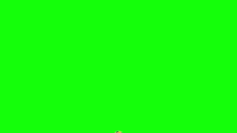 Green White Man Screen Horizontal 16:9 Green Screen Vídeo Stock 340460668