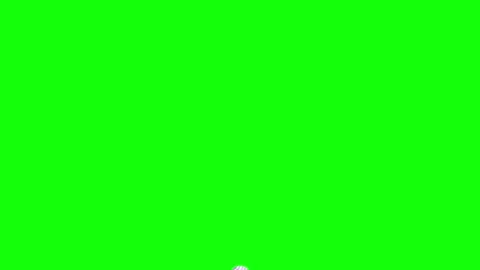 Green White Screen Horizontal 16:9 Green Screen Stock Footage 340459677
