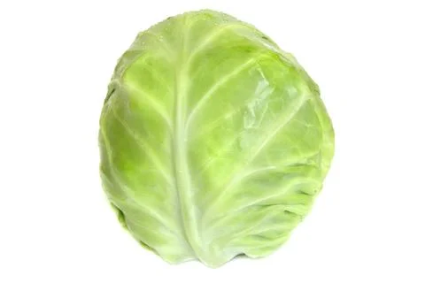 Green whole cabbage isolated on white background Stock Photos