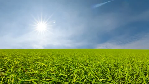 Green wide rural fields under a sparkle sun Stock Footage 197484153