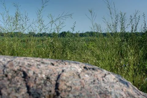 Green Wild Field with Large Rock in Foreground Stock Photos