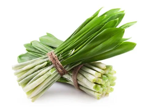 Green wild garlic Stock-Fotos
