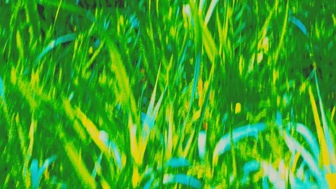 Green wild nature background. dynamic macro vegetable life Stock Footage 89186859