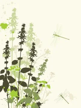 Green wildflowers Stock Illustration