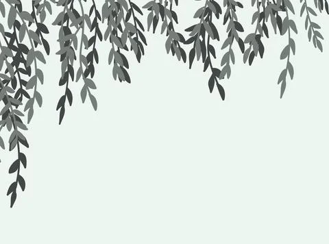 Green willow tree branches frame isolated on white background. Corner tree .. Stock Illustration