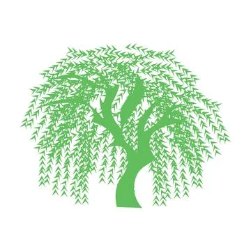 Green Willow Tree Graphic Illustration Stock Illustration