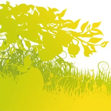 Green windfall in the indian summer with some apples Stock Illustration