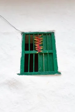 Green window Stock Photos