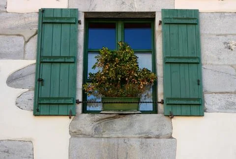 Green window Stock Photos