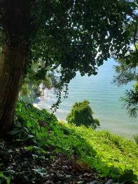 Green window Stock Photos