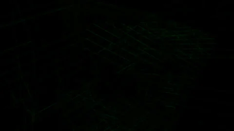 Green Wireframe Motion Mapping Stock Footage 24729191
