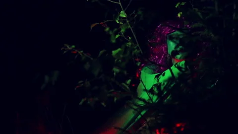 The green witch peers through the branches of the bushes in red light Stock Footage 96306288
