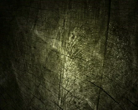 Green Wood Texture 库存影片 102398