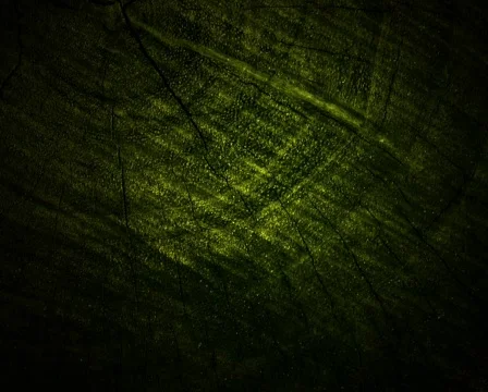 Green Wood Texture 库存影片 103031