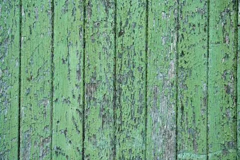 Green wood texture Stock Photos