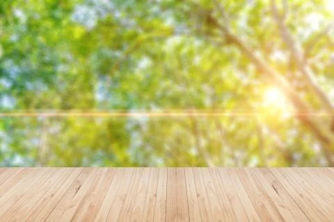 Green woods Stock Photos