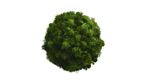 Green world ball covered in trees Stock-Footage 232134912