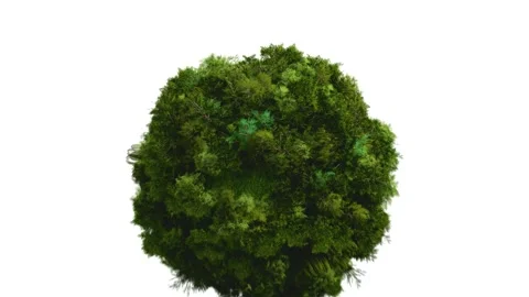 Green world ball covered in trees Video stock 232135309