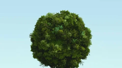 Green world ball covered in trees Video stock 232135407