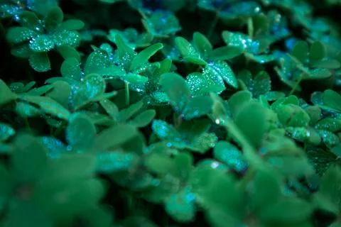 Green World (Blue Tweak) Stock Photos