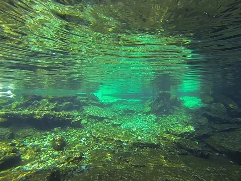 Green World! Stock Footage 101450562