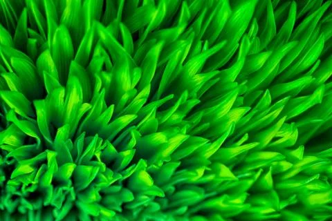 Green world. Stock Photos